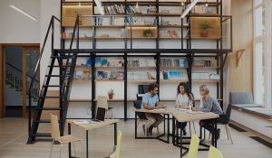 Lees meer over het artikel SEO-Friendly OceanWP Theme’s CoWork Demo for Visitor Attraction